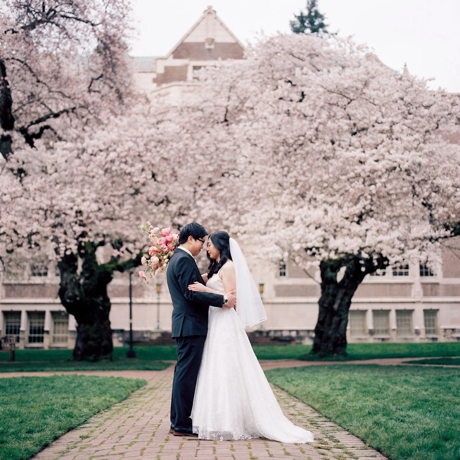 University of Washington Cherry Blossom Festival Elopement at Sunrise