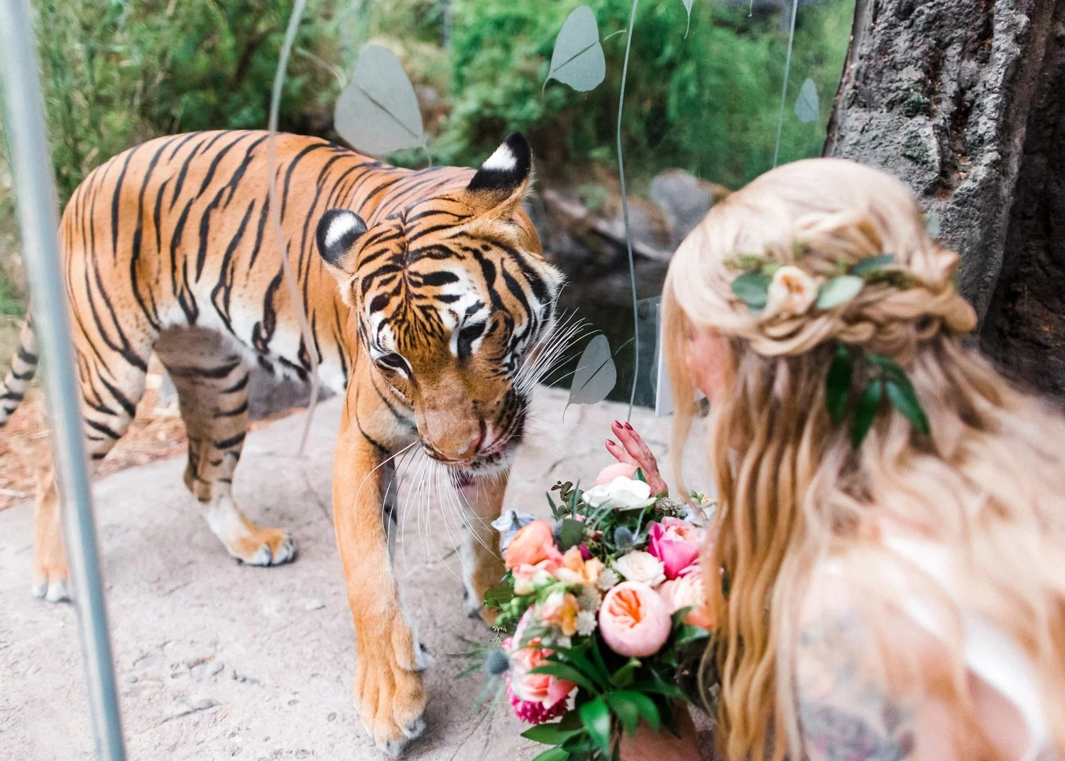 Woodland Park Zoo Wedding with a Tiger Encounter!