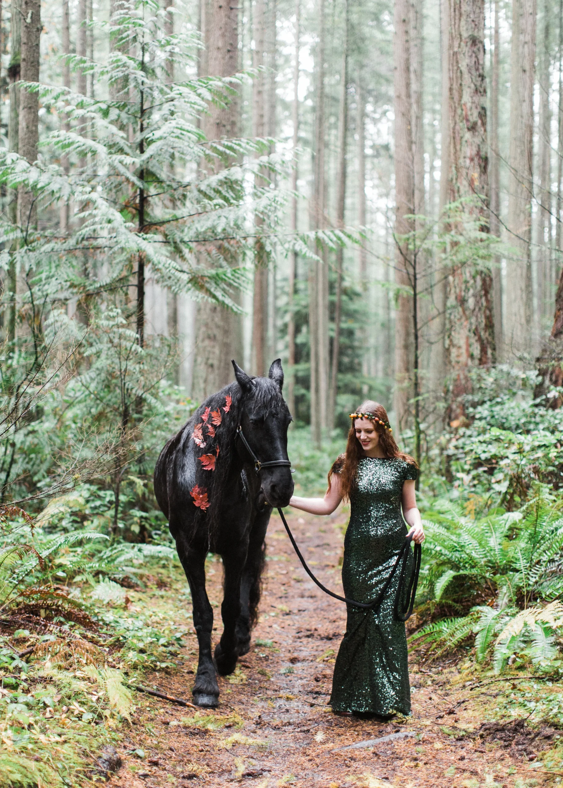 Pacific Northwest Fall Colors Editorial Shoot with Heidi the Friesian | Seattle Wedding Photographer