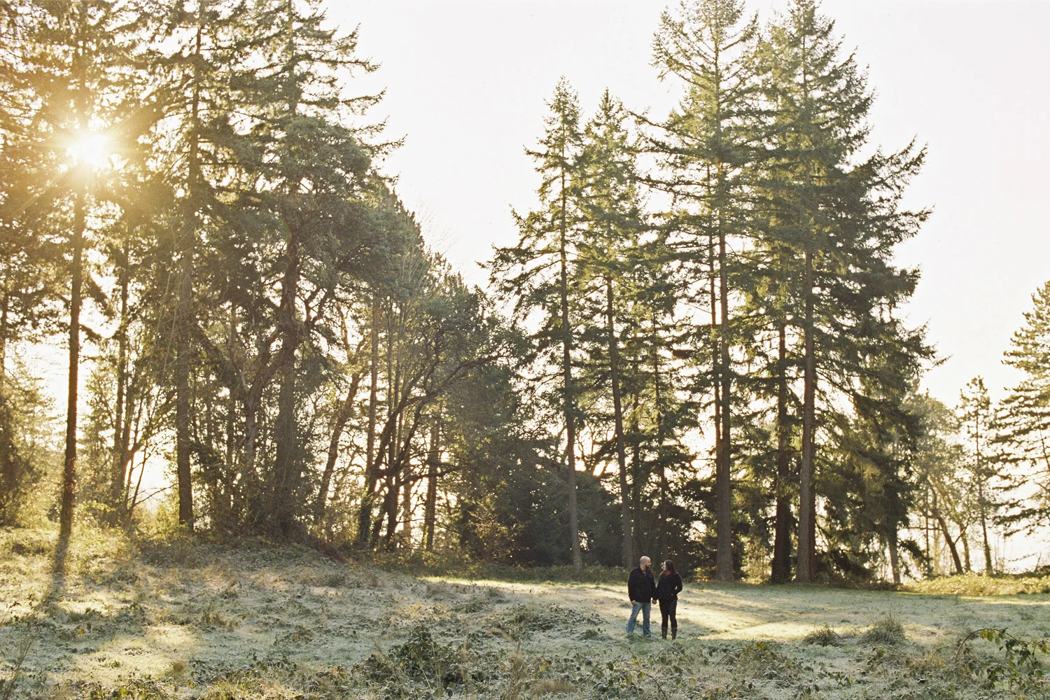 Five of the Best Hidden Locations for Engagement Photos in Seattle